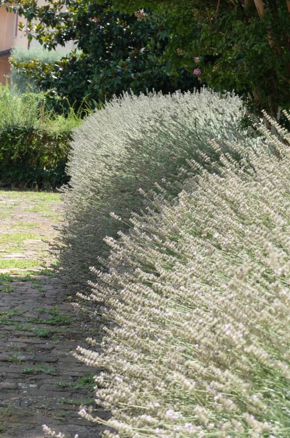 Il Selese Panzió Monticello Conte Otto Kültér fotó