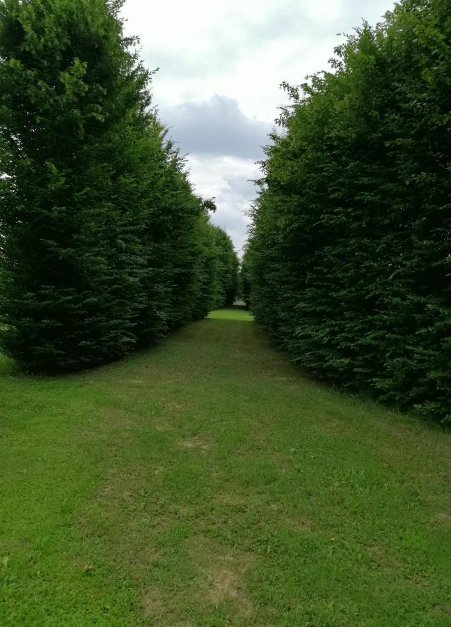 Il Selese Panzió Monticello Conte Otto Kültér fotó